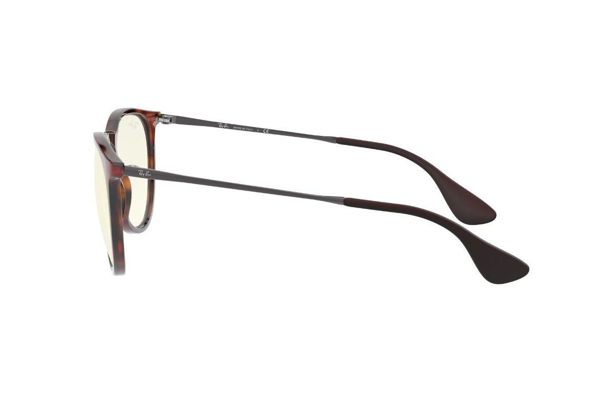 Ray-Ban Erika